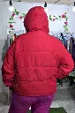 1000001675.webp
