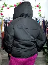 1000001785.webp
